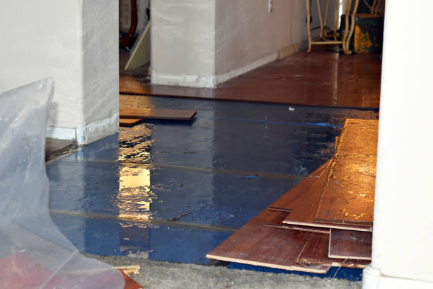 Professional Burst Pipe Cleanup technician working in Lumberton, NJ